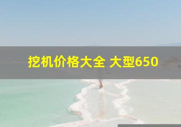 挖机价格大全 大型650